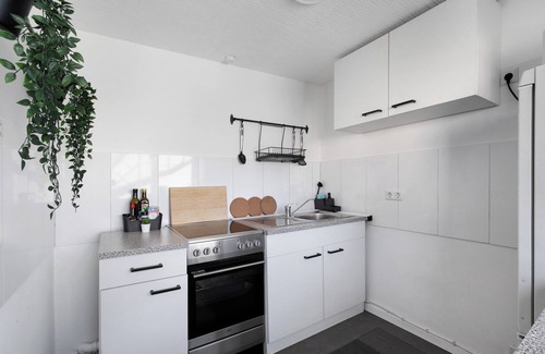 Nuertingen Apartment | Apartment 'Mb Homes Nürtingen Fewo2' with Wi-Fi