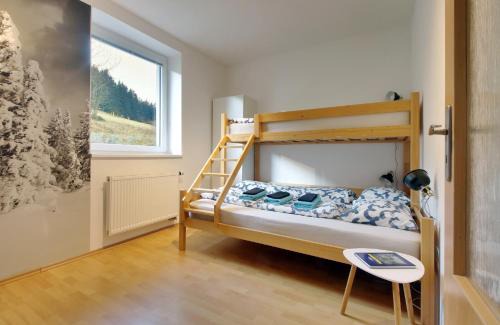 Pec pod Snezkou Apartment | Apartment Michaela
