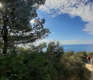Okuklje Apartment | Apartment Nadine Mljet mit Meerblick
