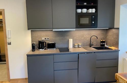 Stare Buky Apartment | Apartment NAVI- Modern studio in Krkonoše foothills