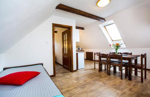 Rokytnice nad Jizerou Apartment | Apartment Nedrik