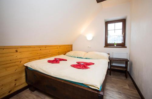 Rokytnice nad Jizerou Apartment | Apartment Nedrik