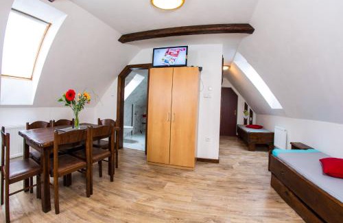 Rokytnice nad Jizerou Apartment | Apartment Nedrik