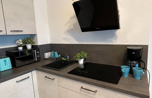 Bad Bergzabern Apartment | Apartment 'Neue Orchideen-apartments Im Haus' with Shared Garden, Balcony and Wi-Fi