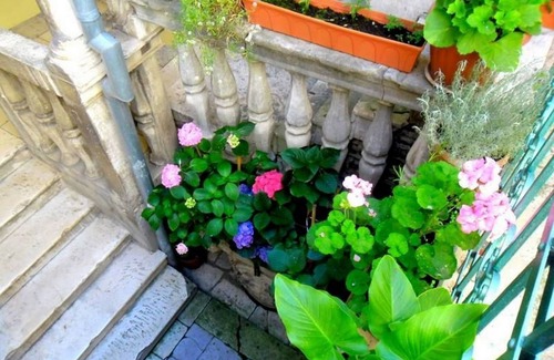 Sibenik Old Town Apartment | Apartment Nikolina (25861-A1) - Sibenik