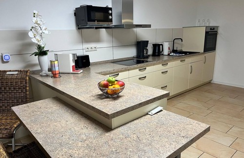 Dresden Apartment | Apartment 'Oleander' with Shared Terrace and Wi-Fi
