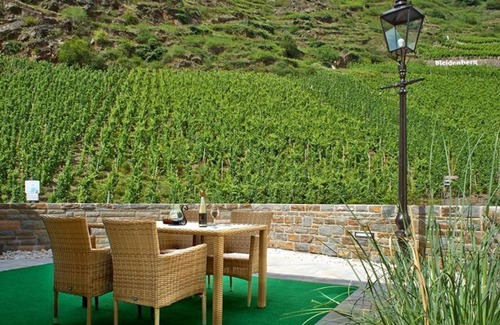 Alken Apartment | Apartment on Bleidenberg - Apartment Anton Hammes winery