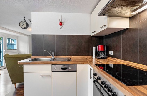Schwarzenbach Apartment | Apartment 'On the Ground Floor' with Private Terrace, Shared Garden and Wi-Fi