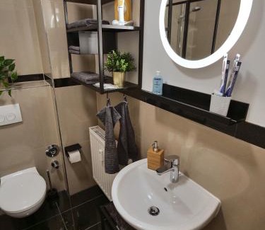 Bruhlervorstadt Apartment | Apartment OTTO I - Erfurt Zentrum