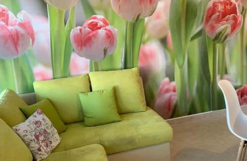 Kastel Novi Apartment | Apartment Petra