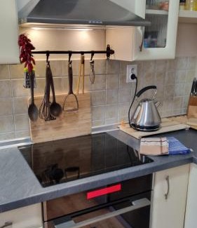 Vysne Ruzbachy Apartment | Apartment PineWood *