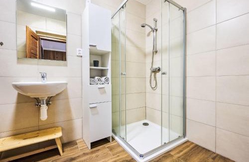 Nova Ves nad Nisou Apartment | Apartment Pod Černou Studnicí-1 by Interhome