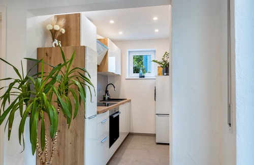 Niedereschach Apartment | Apartment 'Reinbold' with Private Terrace, Private Garden and Wi-Fi