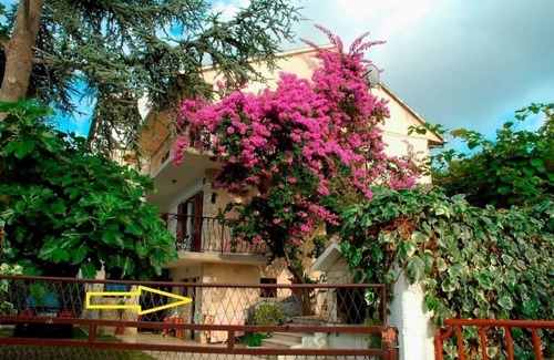 Slatine Apartment | Apartment Ribica (56381-A1) - Slatine (Ciovo)