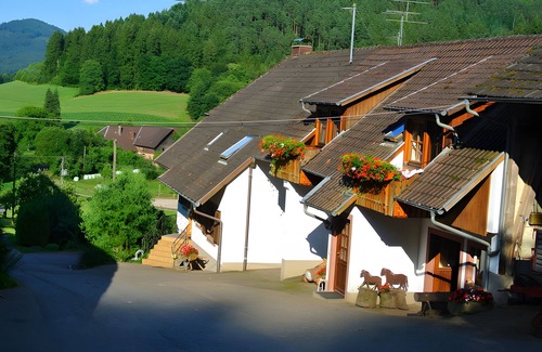 Seelbach Apartment | Apartment 'Sternenhimmel' with Mountain View, Shared Garden and Wi-Fi
