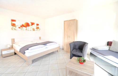 Offenburg Apartment | Apartment Strasbourg - Europapark/Wallaston