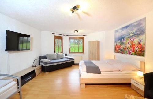 Offenburg Apartment | Apartment Strasbourg - Europapark/Wallaston
