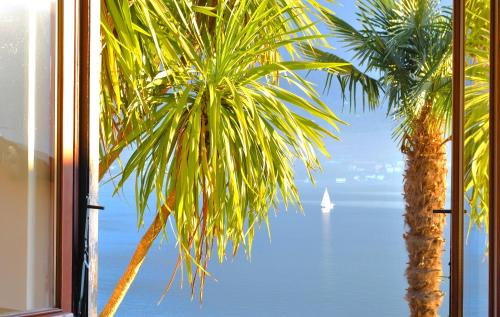 Sala Comacina Apartment | Apartment The Palm with Garden