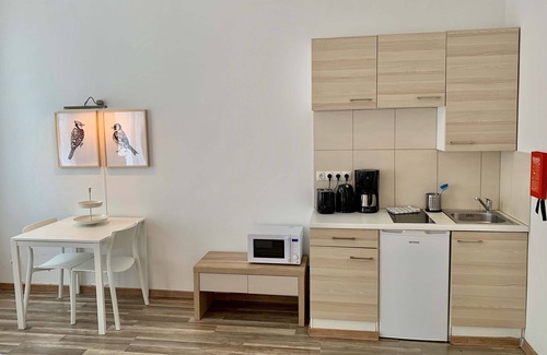 Neulerchenfeld Apartment | Apartment Top 21 mit Doppelbett im Wohnraum