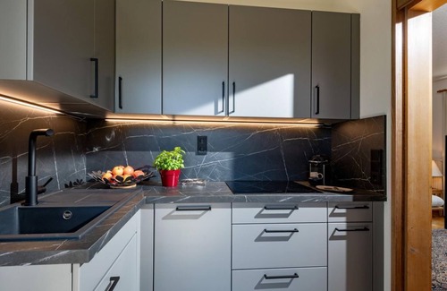 Ellmau Apartment | Apartment type 1 40m² - Haus Alpin
