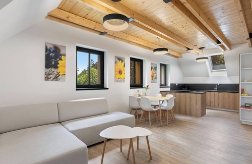 Bedrichov Apartment | Apartment U Buku by Interhome