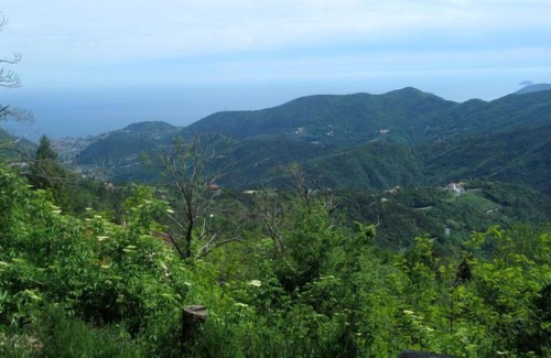Regione Ca' Nova Apartment | Apartment Vittoria e Milietto (FLG325) in Finale Ligure - 7 persons, 3 bedrooms