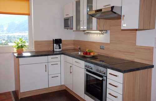 Ramsau im Zillertal Apartment | Apartment with garden in sunny and central dream location and own heat cabin