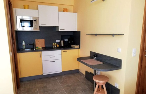 Maria Lanzendorf Apartment | Apartment with kitchenette and shower with rain shower head