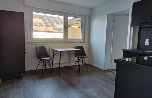 Wiesloch Apartment | Apartment with bedroom, kitchen and bathroom