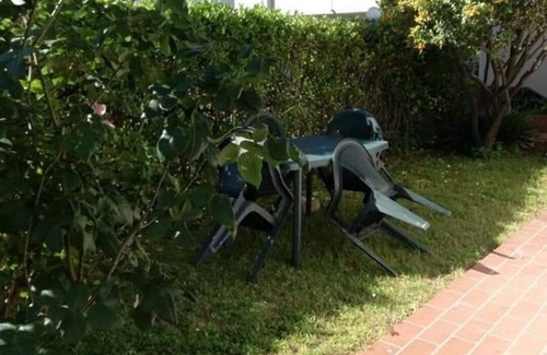 Marina di Massa Apartment | Apartment With Garden