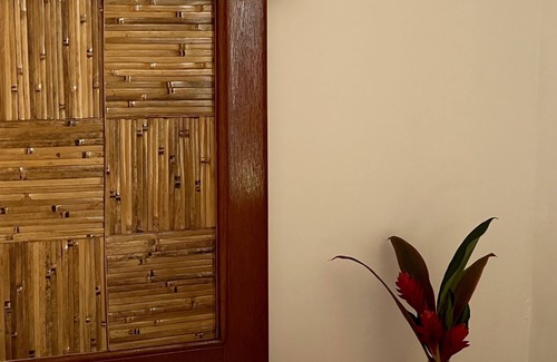 Isla Solarte Apartment | Apartment with kitchen and sea view