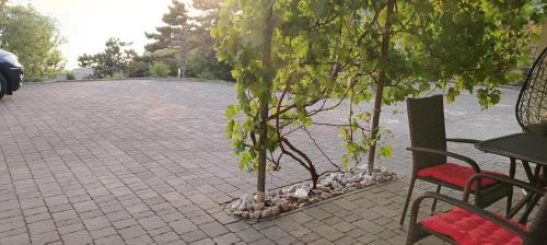 Vratarusa Apartment | Apartments Škrobot