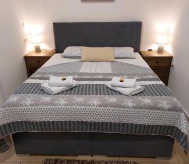 Celje Apartment | Apartments Alexandra