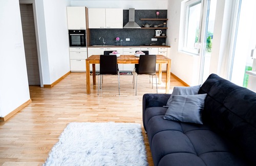 Vidrga Apartment | Apartments and Rooms Bama