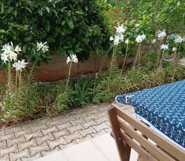 Cove Tri Zala (Zrnovo) Apartment | Apartments Blue House