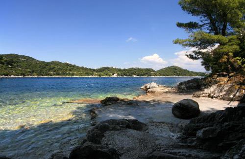 Sobra Apartment | Apartments by the sea Sobra, Mljet - 600