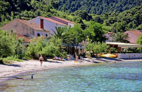 Zuljana Apartment | Apartments by the sea Zuljana, Peljesac - 19080