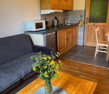 Janov nad Nisou Apartment | Apartments Dřevona II