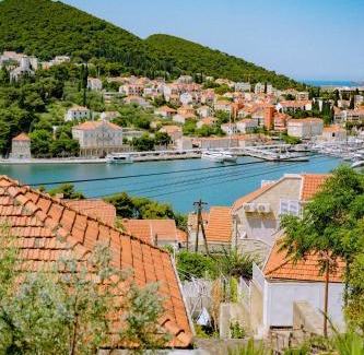 Gruz Apartment | Apartments Dubrovnik Palm Tree Paradise