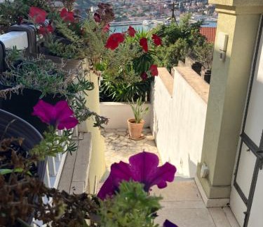 Gruz Apartment | Apartments Dubrovnik Palm Tree Paradise