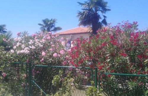 Mali Maj Apartment | Apartments Elda