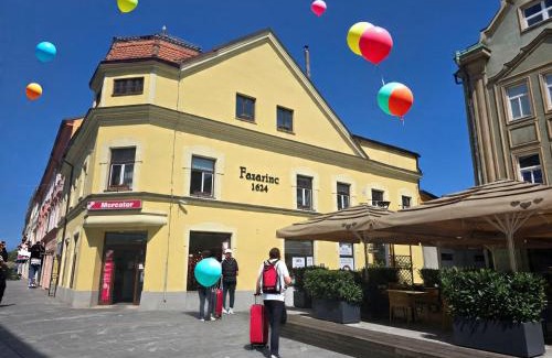 Celje Apartment | Apartments Fazarinc with parking, wellness and city store in the center of Celje