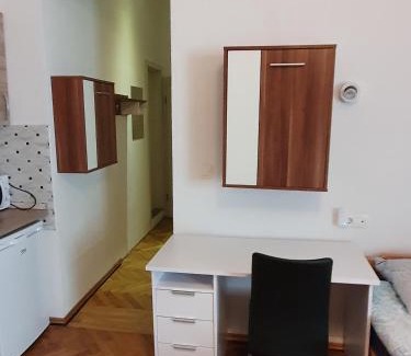 Celje Apartment | Apartments Fazarinc with parking, wellness and city store in the center of Celje