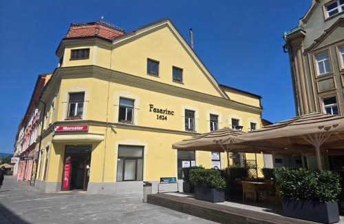 Celje Apartment | Apartments Fazarinc with parking, wellness and city store in the center of Celje