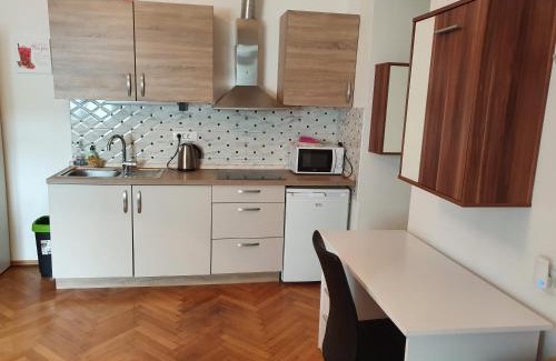 Celje Apartment | Apartments Fazarinc with parking, wellness and city store in the center of Celje