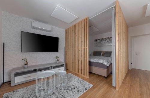 Bezigrad District Apartment | Apartments Grahek