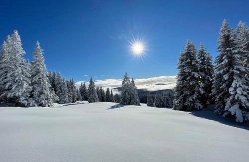 Sankt Georgen im Lavanttal Apartment | Apartments im Almhaus Bachler