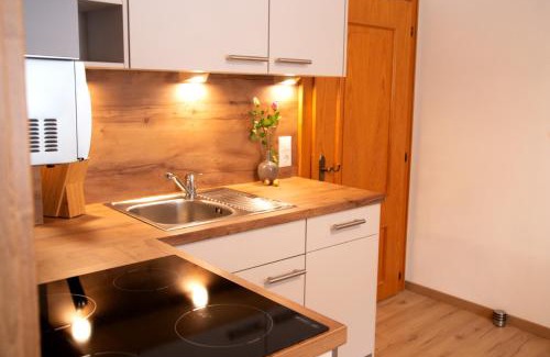 Hallstatt Apartment | Apartments Marie A