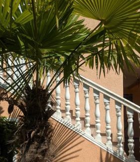Bregvija Apartment | Apartments Montenegrina