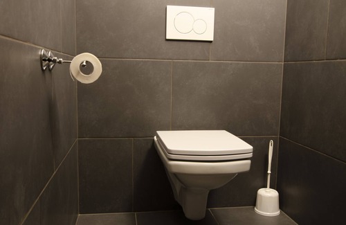 Olimje Apartment | Apartments Olimje - GOBI - Discreet Apartment in nature with a private sauna